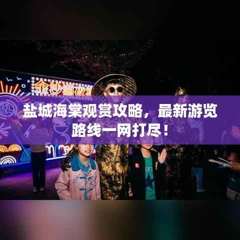 盐城海棠观赏攻略,最新游览路线一网打尽!