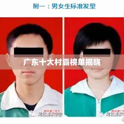 广东十大村霸榜单揭晓