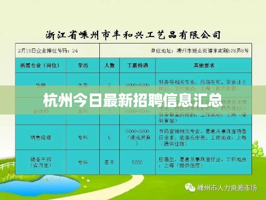 杭州今日最新招聘信息汇总