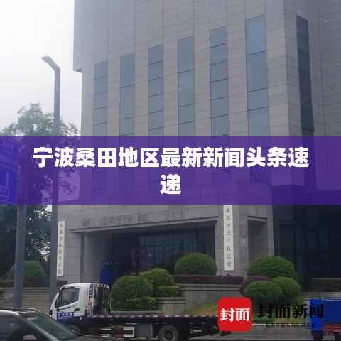 囫囵吞枣 第4页