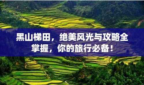 黑山梯田，绝美风光与攻略全掌握，你的旅行必备！