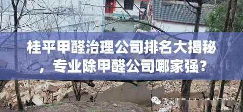 桂平甲醛治理公司排名大揭秘,专业除甲醛公司哪家强?