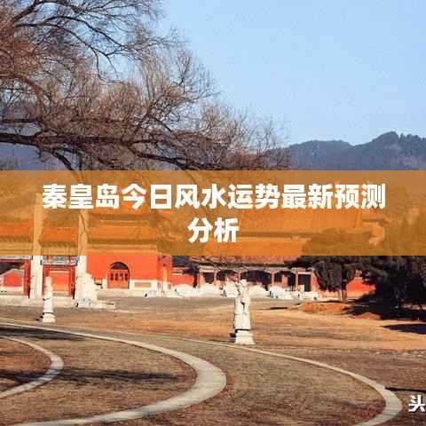 祖道供张 第4页