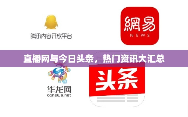直播网与今日头条,热门资讯大汇总