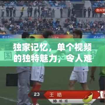 独家记忆,单个视频的独特魅力,令人难以忘怀!