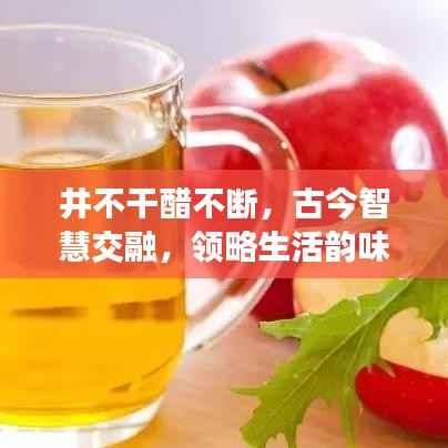 井不干醋不断，古今智慧交融，领略生活韵味