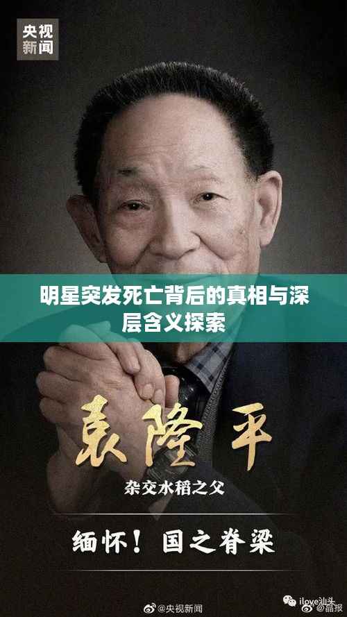 明星突发死亡背后的真相与深层含义探索
