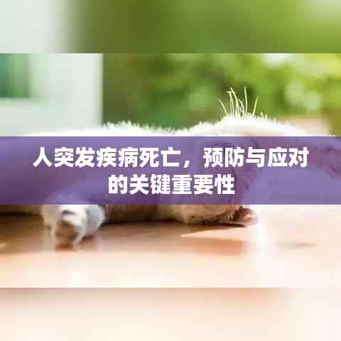 人突发疾病死亡,预防与应对的关键重要性