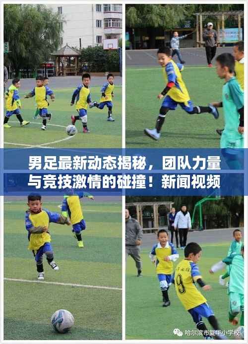 男足最新动态揭秘,团队力量与竞技激情的碰撞!新闻视频火热出炉