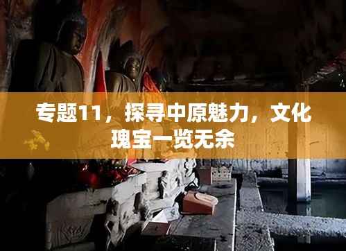 专题11,探寻中原魅力,文化瑰宝一览无余