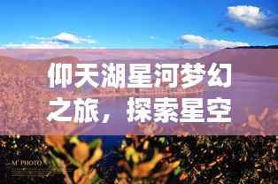 飞龙在天 第4页