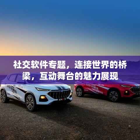 社交软件专题，连接世界的桥梁，互动舞台的魅力展现