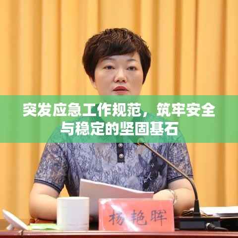 突发应急工作规范,筑牢安全与稳定的坚固基石