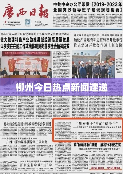 柳州今日热点新闻速递