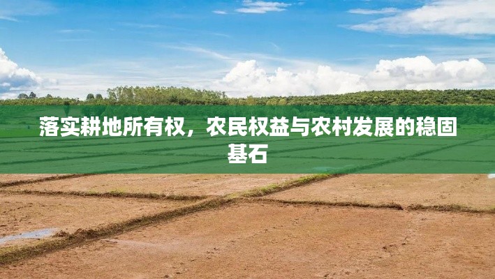 落实耕地所有权，农民权益与农村发展的稳固基石