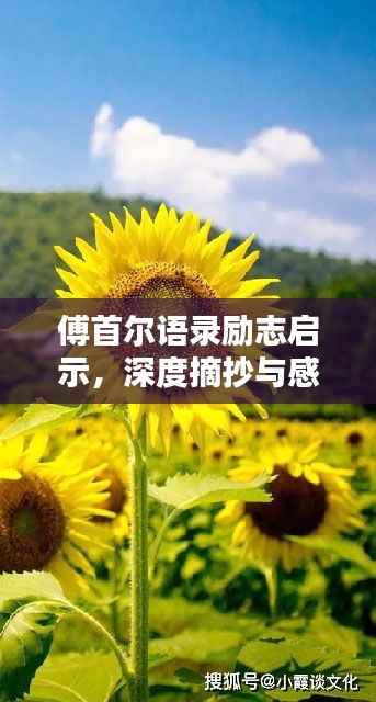 集思广益 第4页