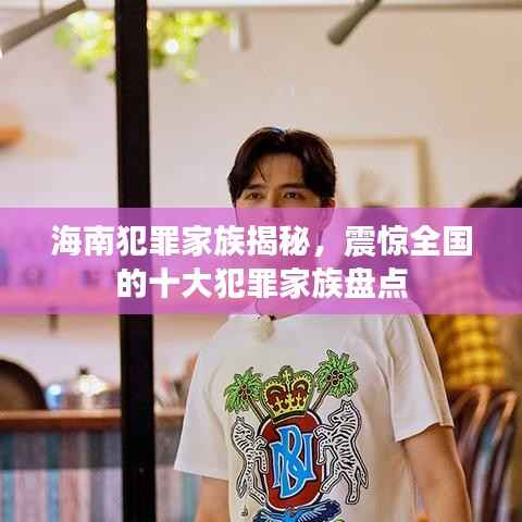 海南犯罪家族揭秘，震惊全国的十大犯罪家族盘点