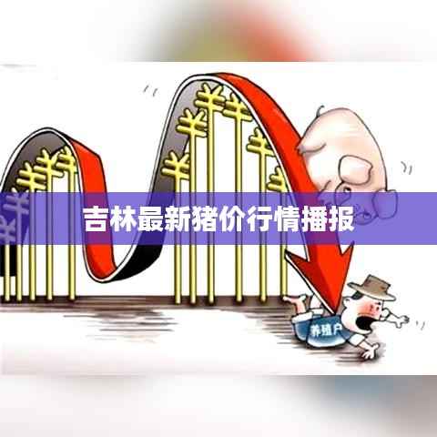 吉林最新猪价行情播报
