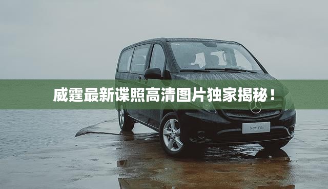 威霆最新谍照高清图片独家揭秘!