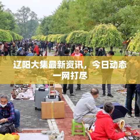 辽阳大集最新资讯，今日动态一网打尽