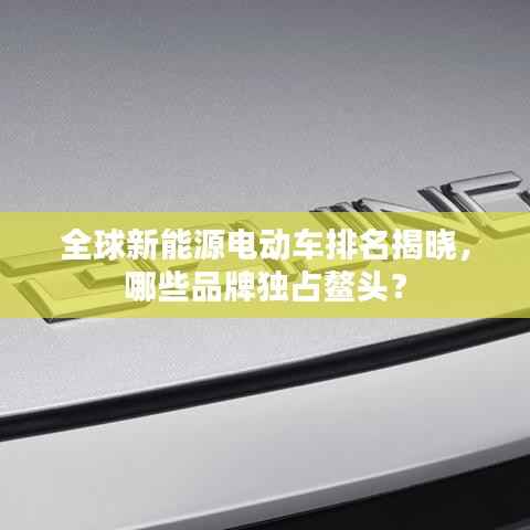 全球新能源电动车排名揭晓,哪些品牌独占鳌头?