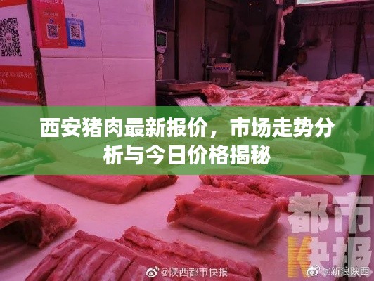 草率从事 第4页