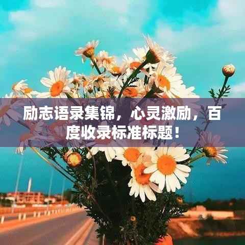 励志语录集锦,心灵激励,百度收录标准标题!