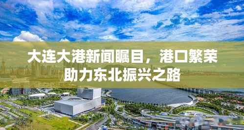 大连大港新闻瞩目，港口繁荣助力东北振兴之路