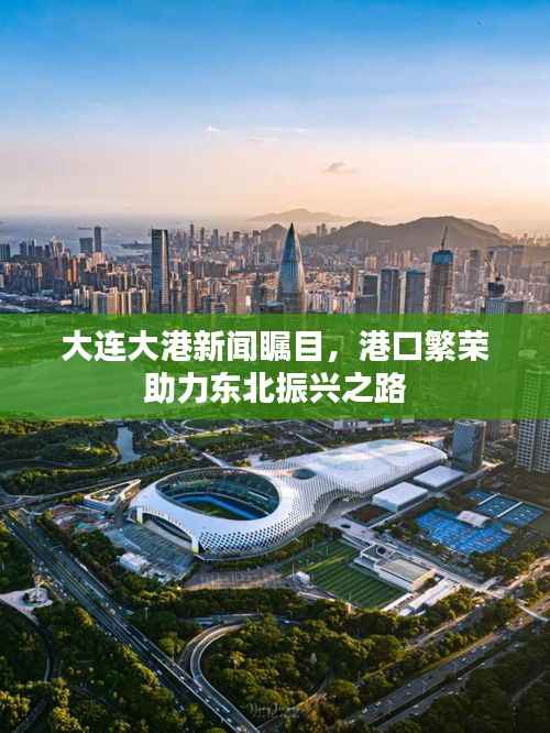 大连大港新闻瞩目,港口繁荣助力东北振兴之路