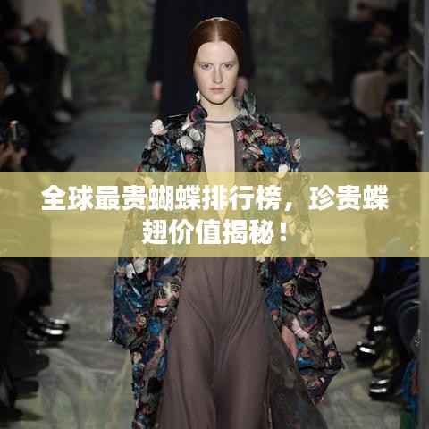 全球最贵蝴蝶排行榜,珍贵蝶翅价值揭秘!