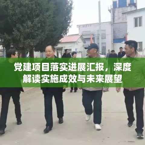 党建项目落实进展汇报,深度解读实施成效与未来展望