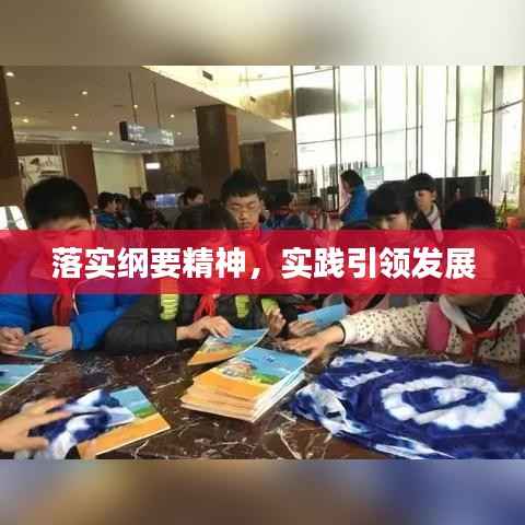 落实纲要精神,实践引领发展