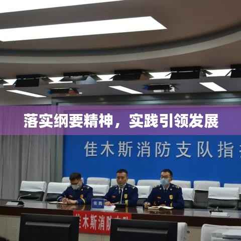 落实纲要精神,实践引领发展