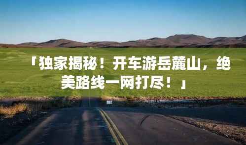 荣华富贵 第4页