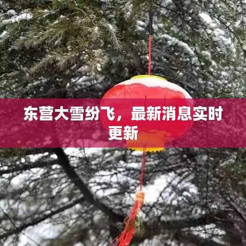 东营大雪纷飞,最新消息实时更新