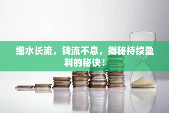 细水长流,钱流不息,揭秘持续盈利的秘诀!
