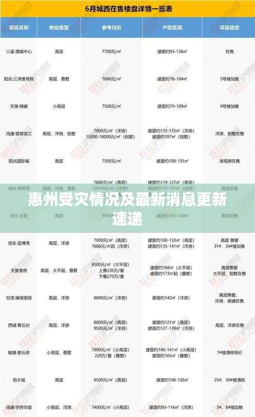 惠州受灾情况及最新消息更新速递