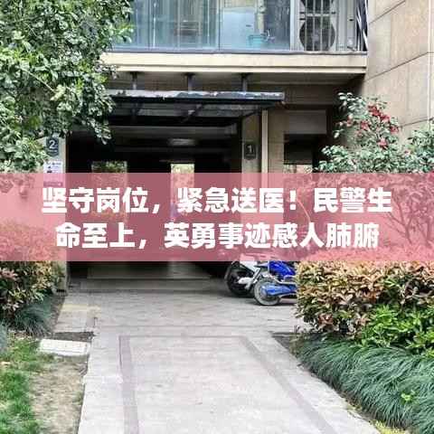 坚守岗位,紧急送医!民警生命至上,英勇事迹感人肺腑