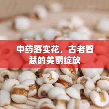 中药落实花，古老智慧的美丽绽放