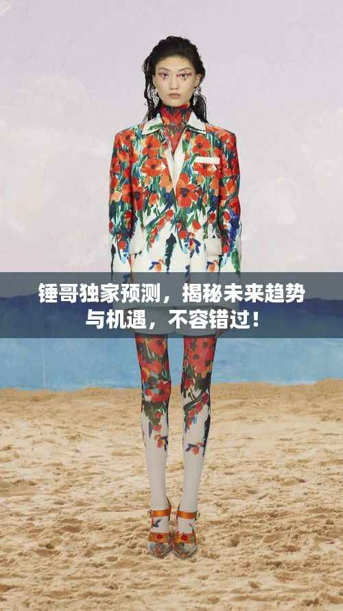 锤哥独家预测，揭秘未来趋势与机遇，不容错过！