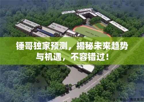 锤哥独家预测,揭秘未来趋势与机遇,不容错过!