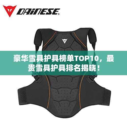 豪华雪具护具榜单TOP10,最贵雪具护具排名揭晓!