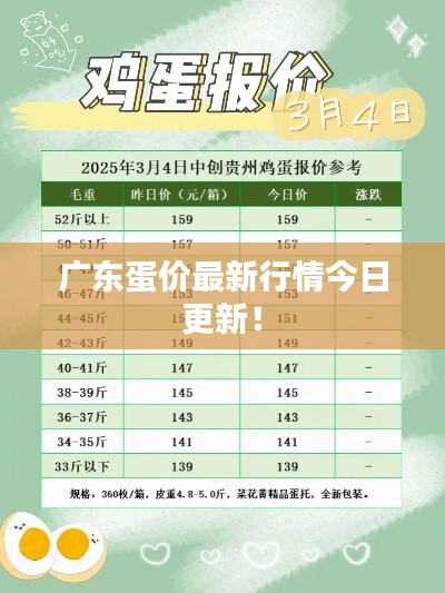 广东蛋价最新行情今日更新!