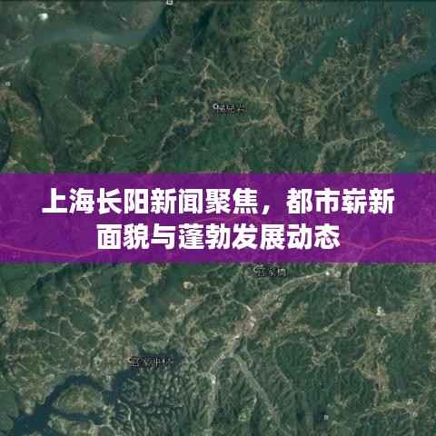 上海长阳新闻聚焦，都市崭新面貌与蓬勃发展动态