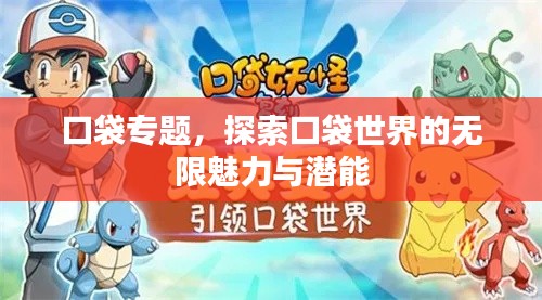 口袋专题,探索口袋世界的无限魅力与潜能