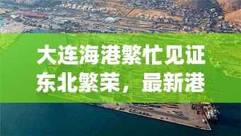 大连海港繁忙见证东北繁荣，最新港口新闻头条速递