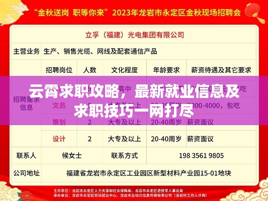 云霄求职攻略,最新就业信息及求职技巧一网打尽