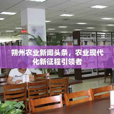 朔州农业新闻头条,农业现代化新征程引领者