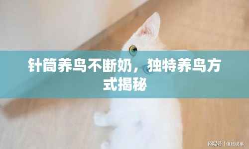 针筒养鸟不断奶,独特养鸟方式揭秘