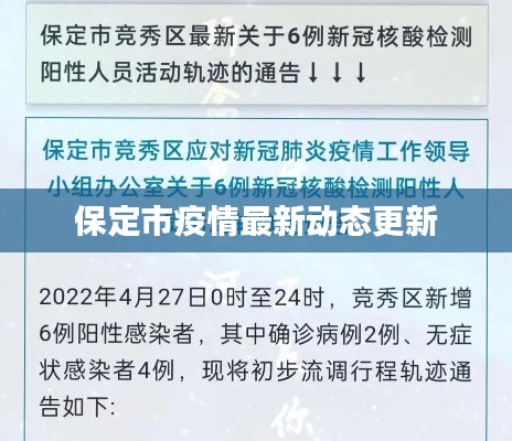 保定市疫情最新动态更新